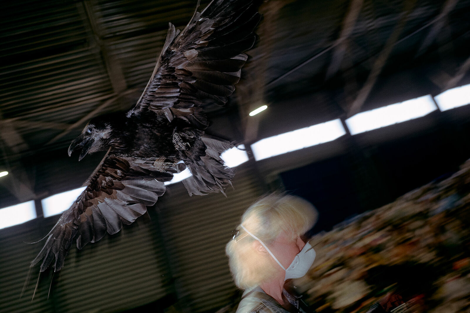 Солнечногорск, 05.2024